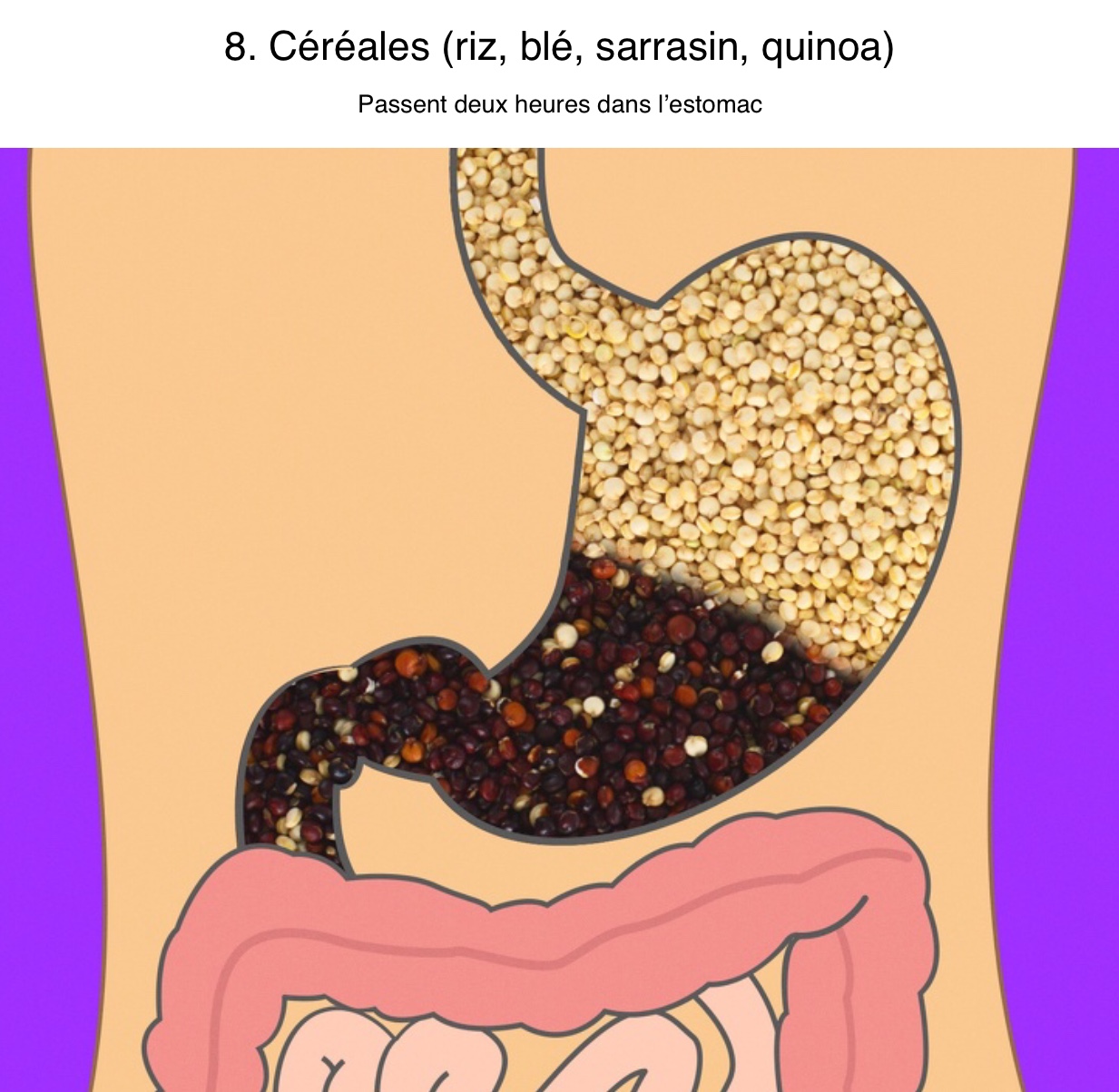 Maigrir avec la méthode Montignac phase 1. temps de