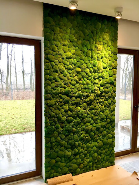 grass%2Bwall%2Bdecor%2B%252816%2529