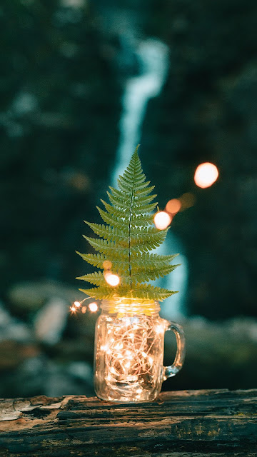 HD wallpaper lights in glass jar