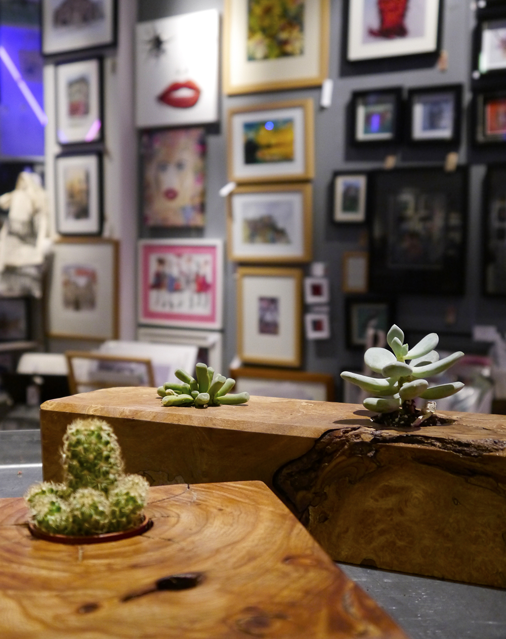 Homeware and Art at the Scottish Design Exchange The Scottish Design Exchange, Edinburgh shopping, alternative shopping in Edinburgh, Ocean Terminal, fashion, Scottish fashion blogger, succulents