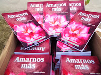 Mi nuevo libro "Amarnos Más"