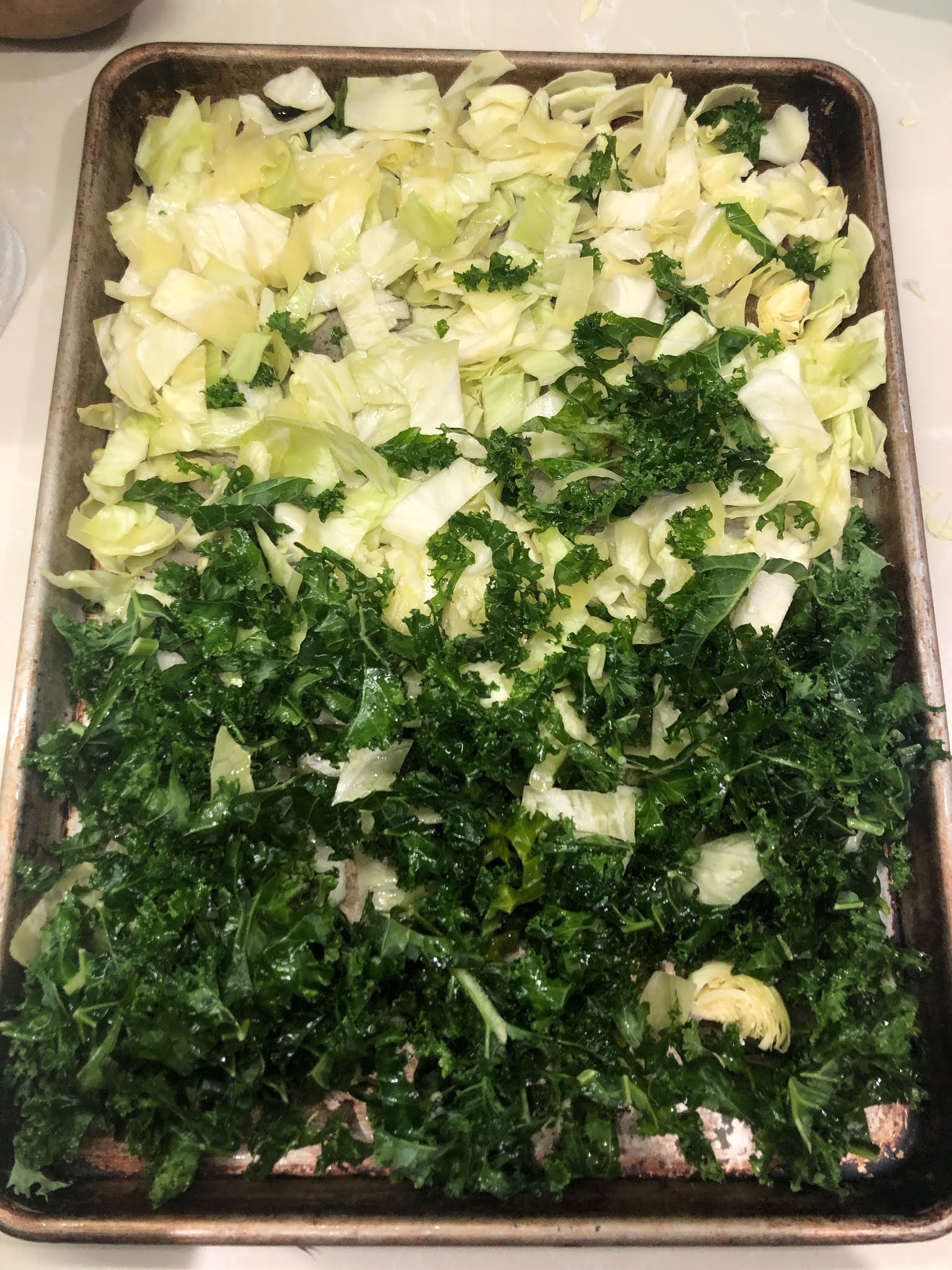 Salmon with Cabbage and Kale