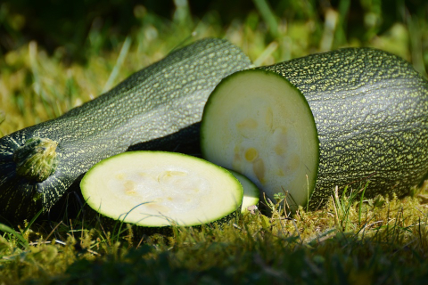 Waco Planting Calendar:   August...a guide to when to plant vegetables in Waco, Texas.