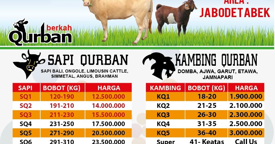 Hewan Qurban: Jual Jual Hewan Qurban Murah & Berkualitas Jakarta ...