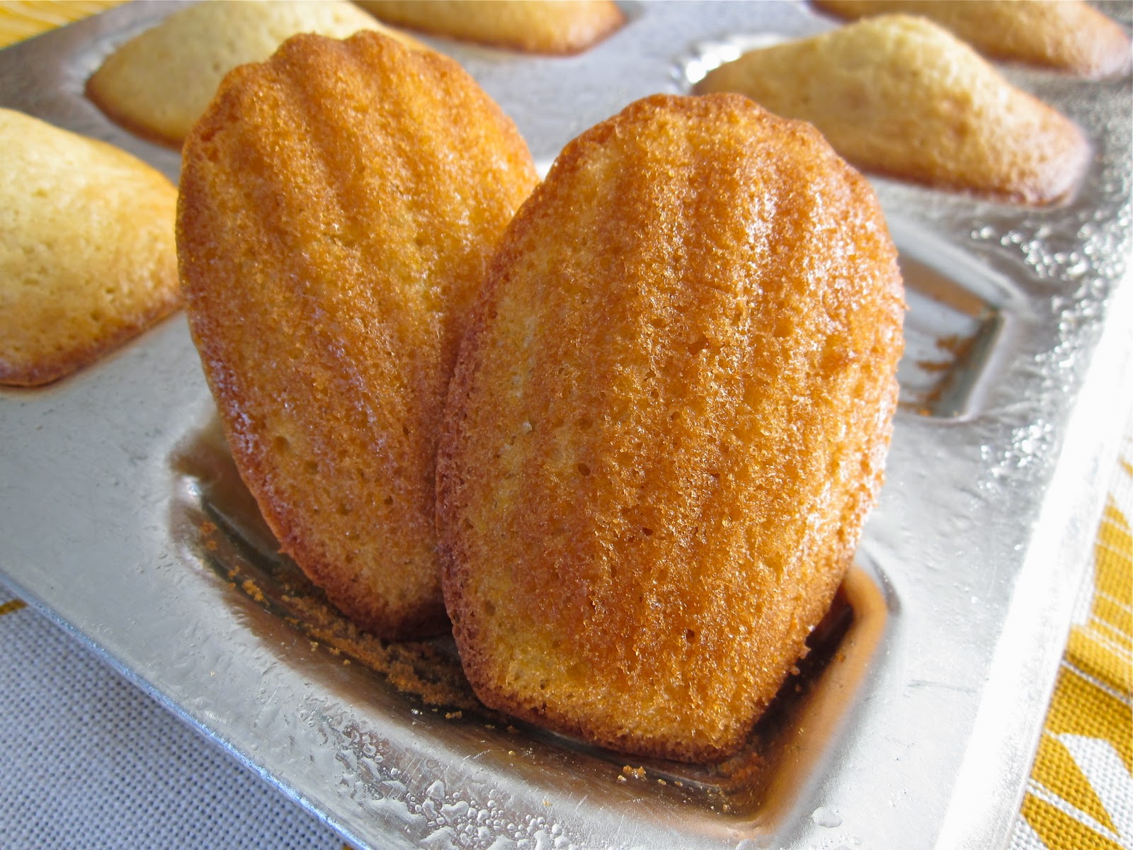 Arctic Garden Studio Lemon and Ginger Madeleines