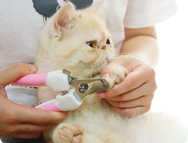 Kiềm cắt móng và giũa móng chó mèo [Cỡ trung]