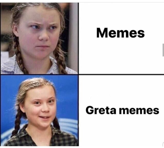 Greta Thunberg Memes.