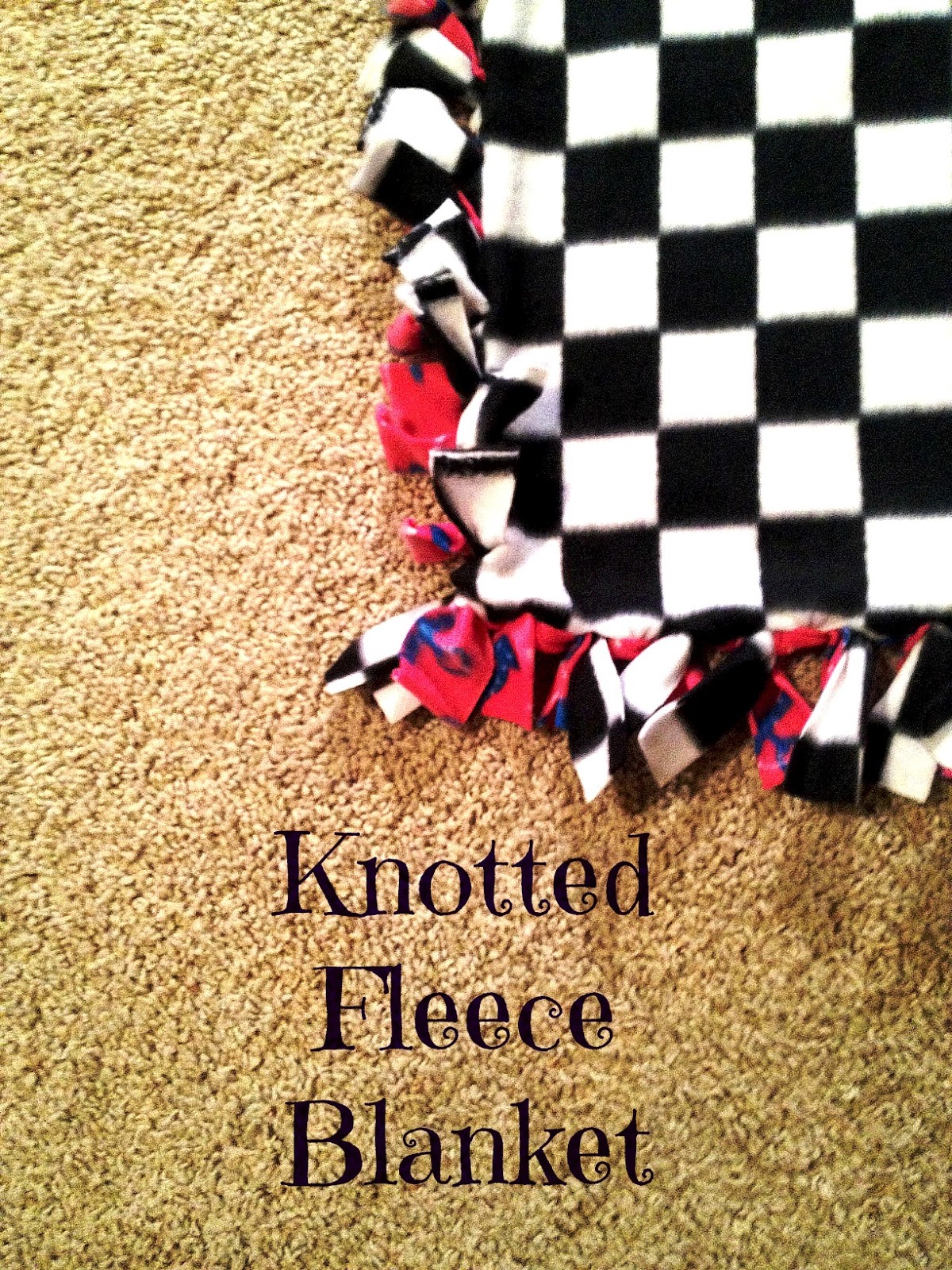 Fancy That Notion Knotted Fleece Blanket