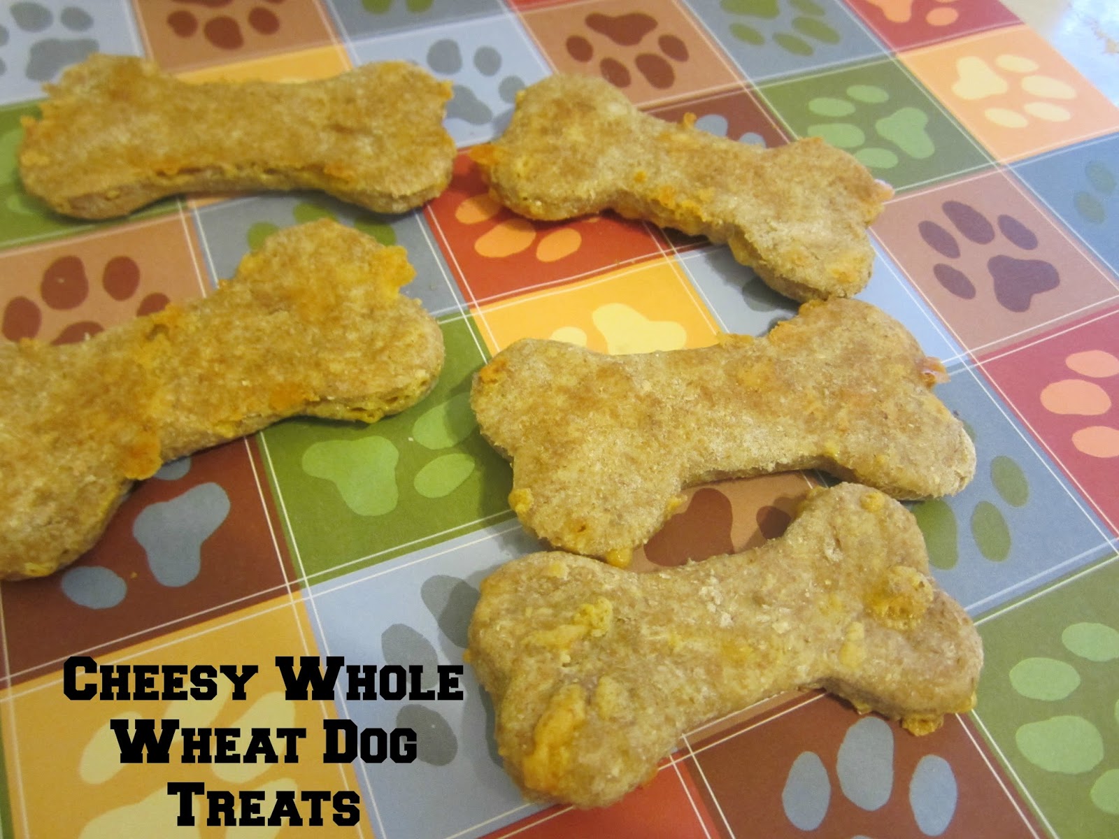 Cheesy Whole Wheat Dog Treats Frugal Family Tree