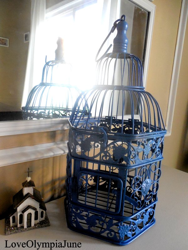 LoveOlympiaJune Spray Painting a Bird Cage