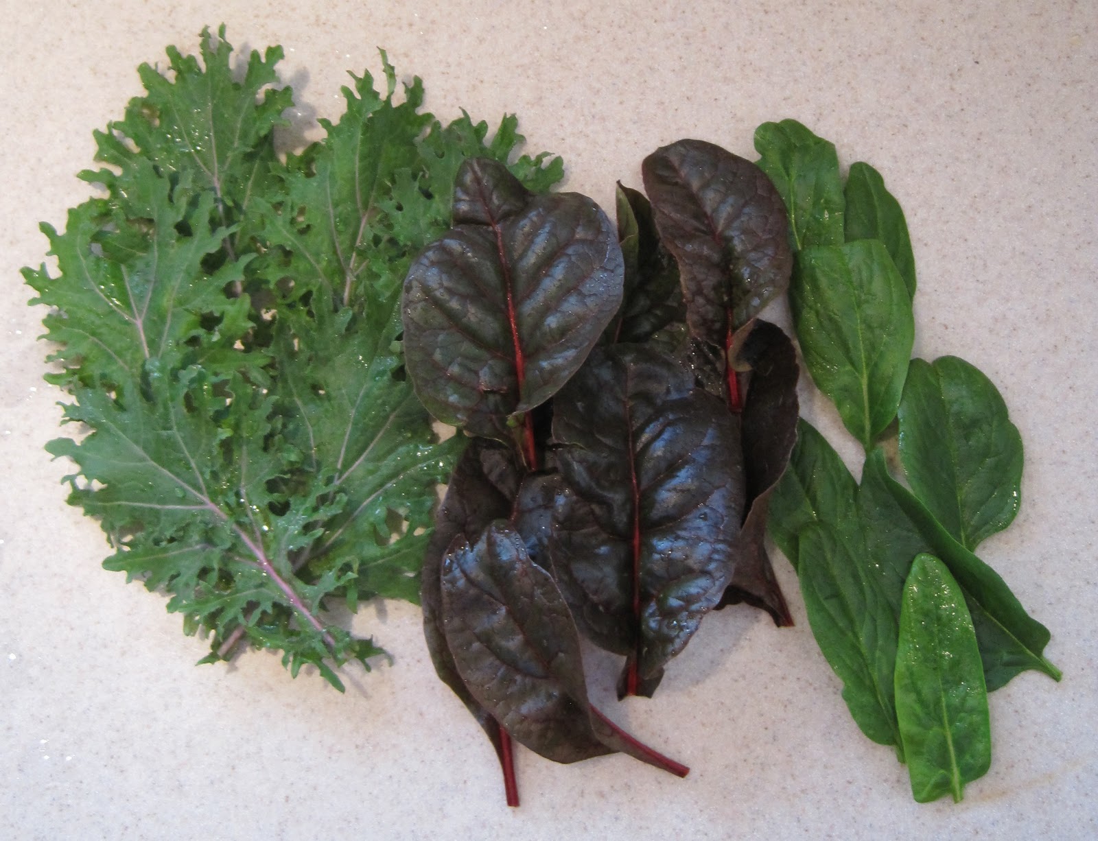 Our Adventure Kale, Spinach, Swiss Chard Vegetarian Lasagna Recipe