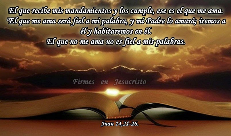 Yo Soy El Camino La Verdad Y La Vida Evangelio Segun San Juan