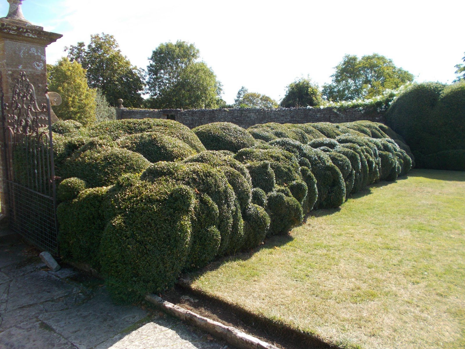 Off the Beaten Track in Somerset: Wibbly-wobbly Hedges, Montacute House