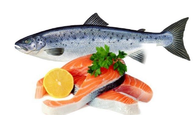 Manfaat Makan Ikan untuk Anak Balita