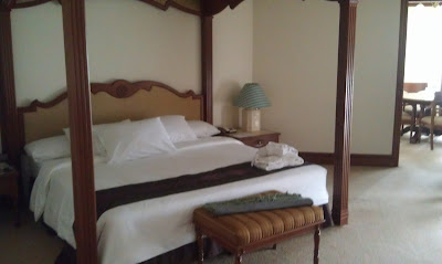 primula suite