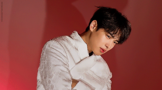 tumblr_c92472c8484c951cb72f5fcdfd3c9b6b_f19456a8_540.gif (540×300)