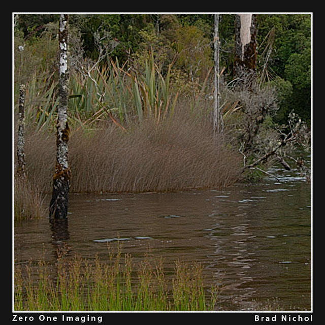 6mp Canon DSLR, Super Resolution test, pond photo in NZ, crop