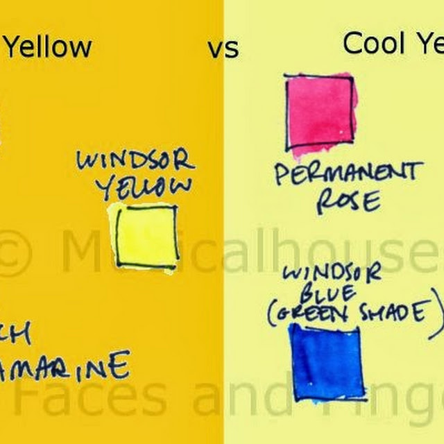 Color Analysis 22-Part Drape Set Warm-Cool