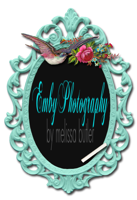 Emby Photography Pricing & Info