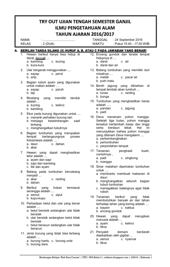 contoh soal essay bahasa indonesia kelas 8 semester 2