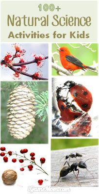 Share it! Science : Over 25 Ways to Explore and Learn in Nature