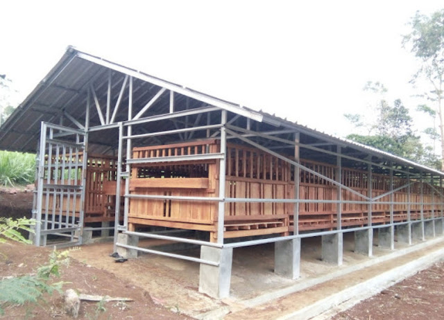 12 Contoh Gambar Desain Kandang Kambing Modern Madani