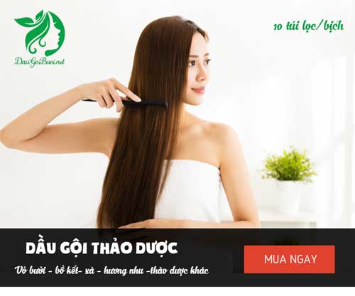 mua dầu gội vỏ bưởi mua dầu gội vỏ bưởi