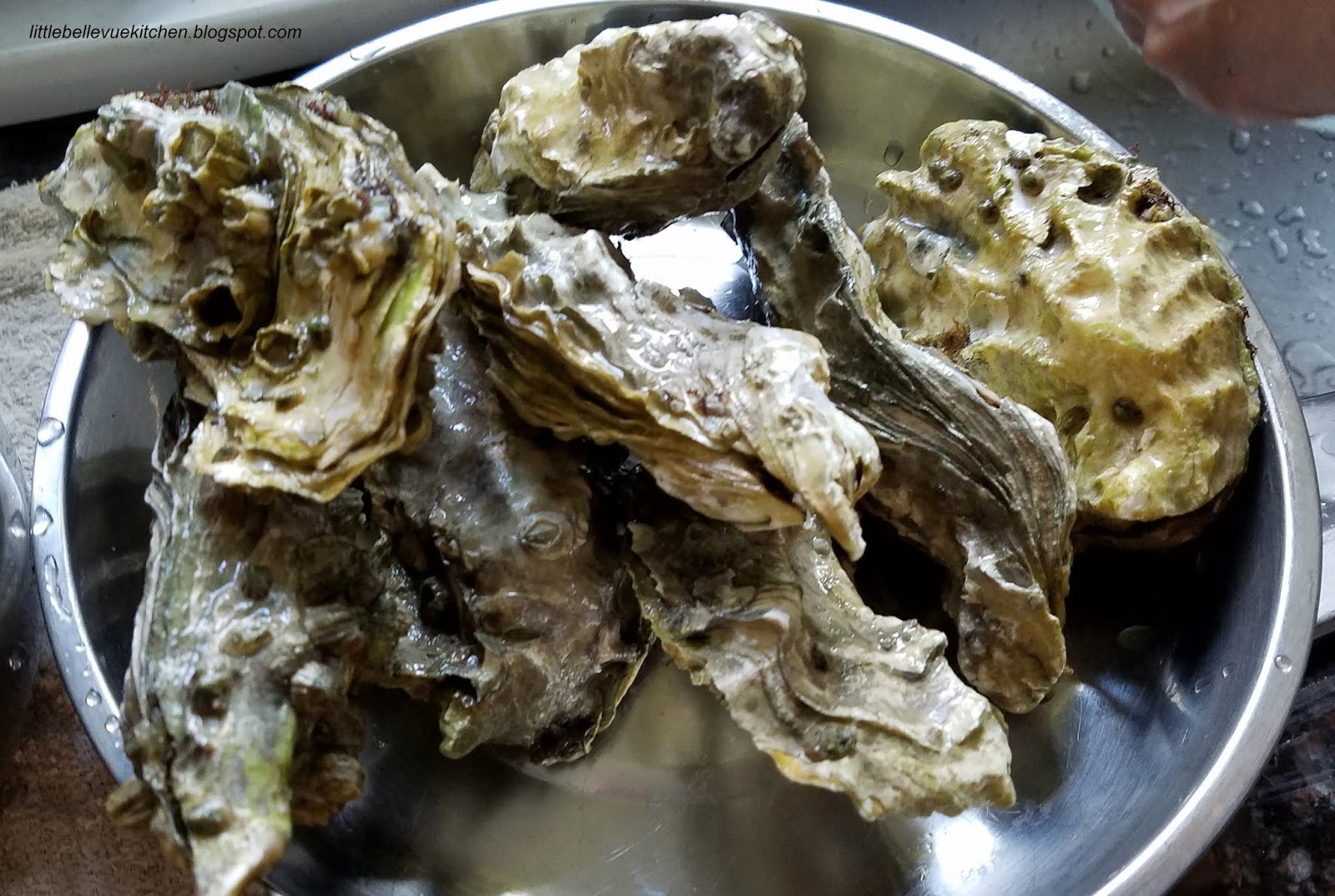 Little Bellevue Kitchen Steamed Oysters with Ginger and Scallions
