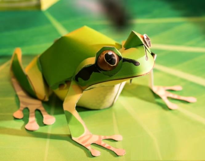 PAPERMAU A Little Tree Frog Paper Model by Ayumu Saito & Craft Pocket