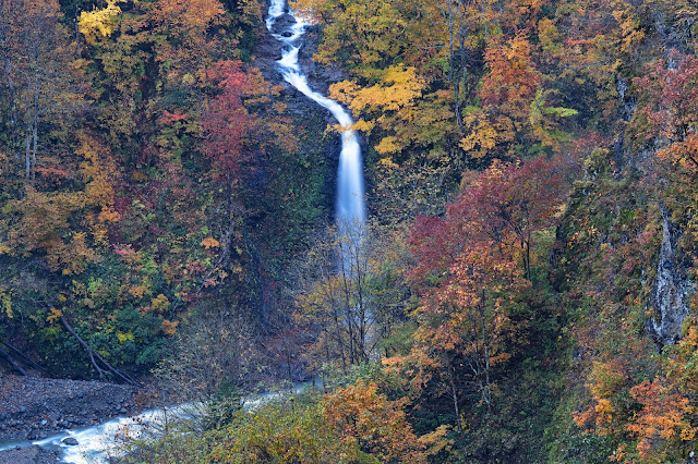 #photo #landscape #sigma #foveon #sdquattroh #japan #yamagata #tsuruoka #写真 #風景写真 #山形帝國 #山形県 #鶴岡市