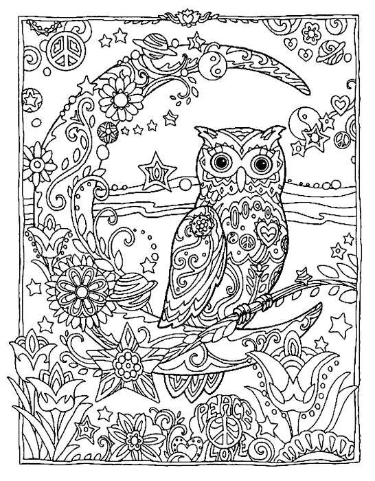 Download Sketsa Gambar Burung Hantu Mewarnai - IMAGESEE