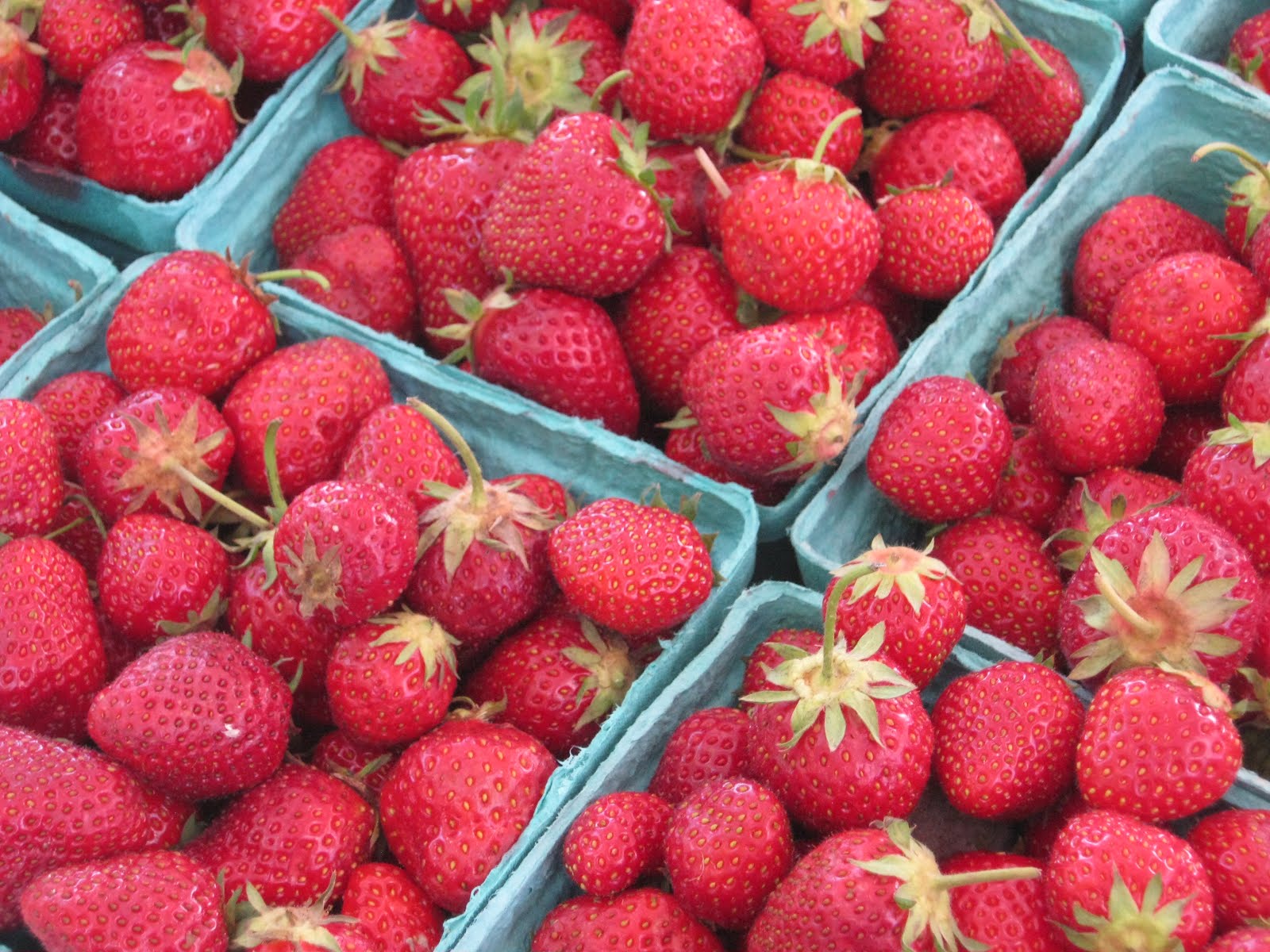 Corning NY Step by Step The Farmers' Market