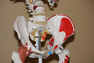 Tests for hip joint