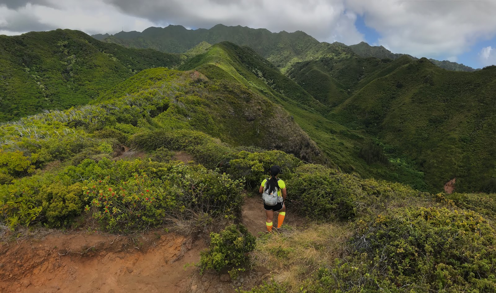 Hawaii Loa Ridge The HI Escapade.