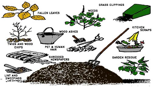 The PennWell Community Garden Blog: Weird Stuff You Can Compost