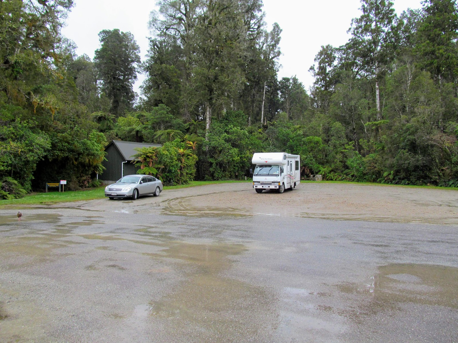 Tramping in the New Zealand backcountry NZ Bush Adventures Hokitika
