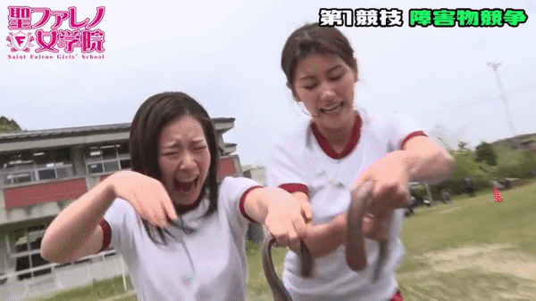 성팔레노 vs SOD 여학원 운동회