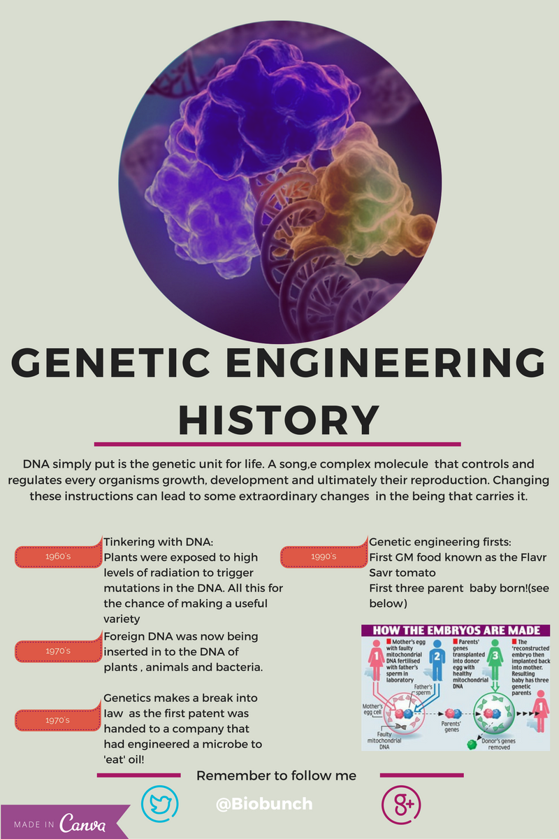 Science Corner: Genetic engineering and glow in the dark bunnies