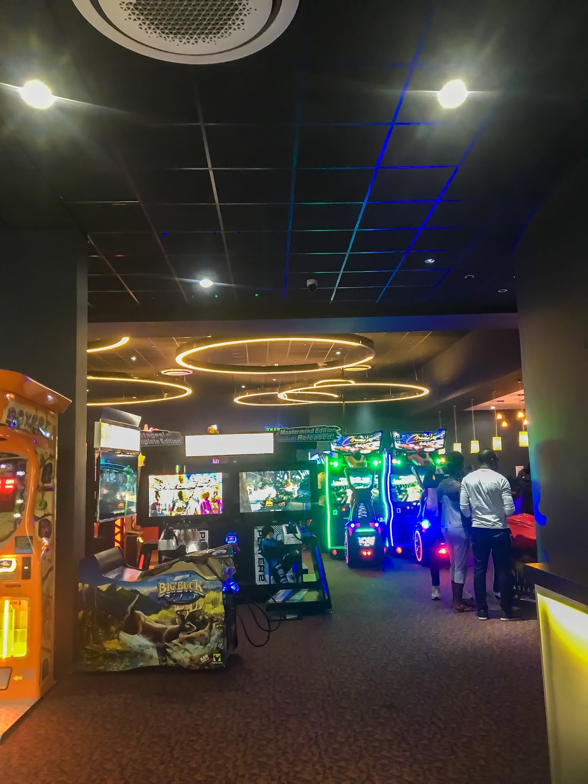 Lade's Blog Rufus And Bee Game Arcade My New Favourite Thing