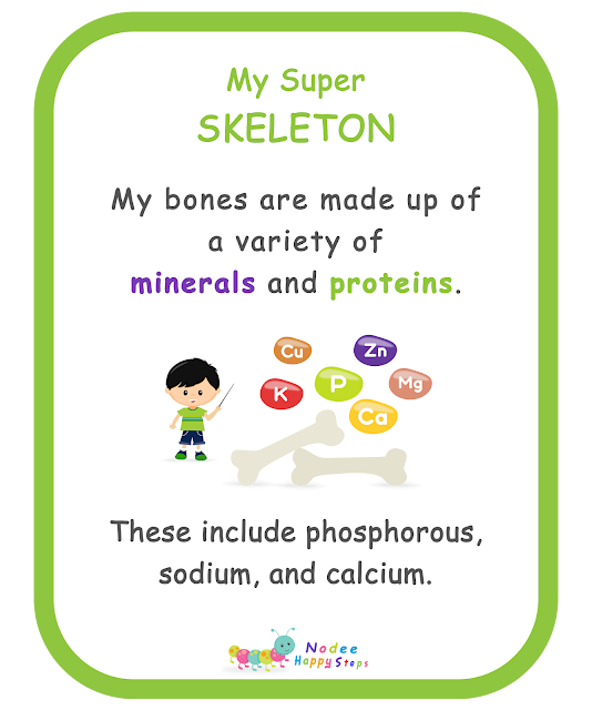 My Body For kids - My Super Skeleton