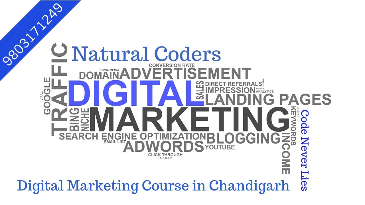 Digital Marketing Course in Chandigarh