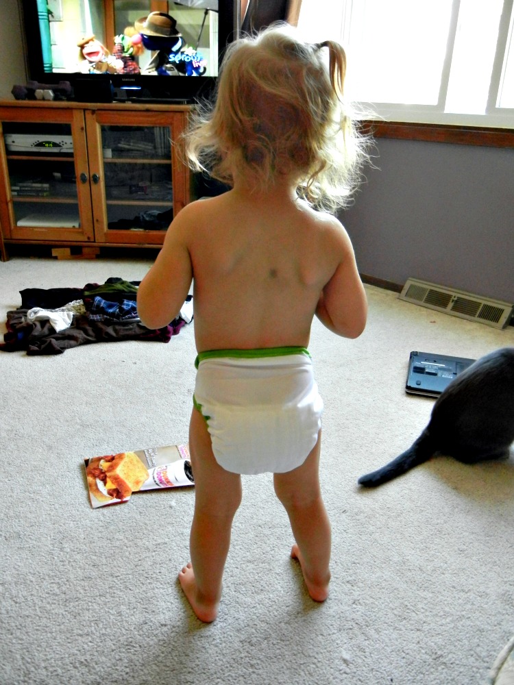 Enchanted to Meet You: Our try at cloth diapers