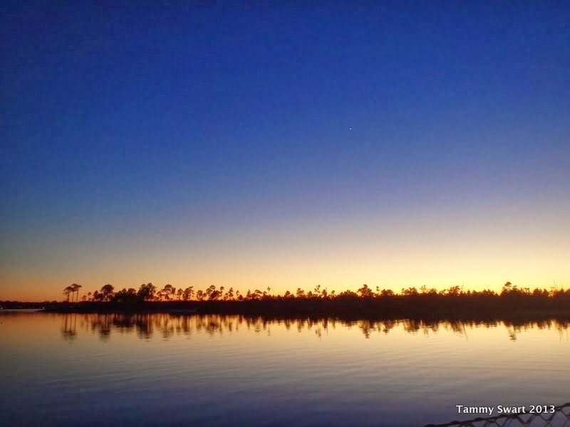 Things we did today... Pirate's Cove