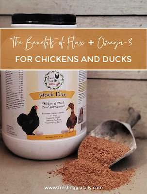 benefits of flax and omega-3 for chickens