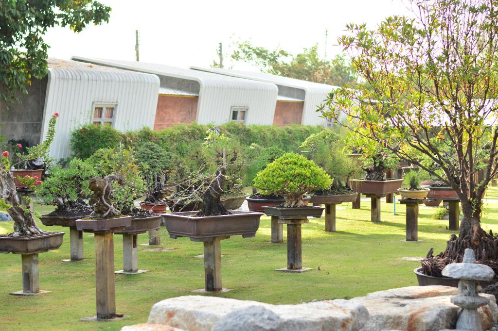 World of Bonsai and Gardening