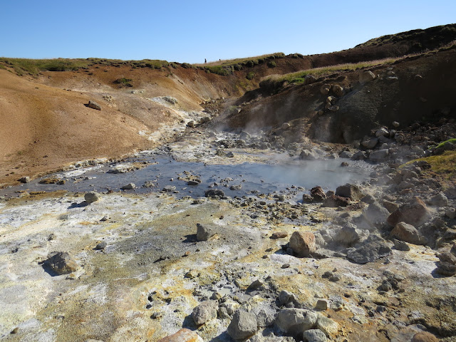 Día 15 ( Reykjavík - Blue Lagoon - Aeropuerto) - Islandia Agosto 2014 (15 días recorriendo la Isla) (11)