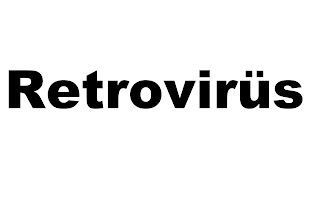 retrovirüs