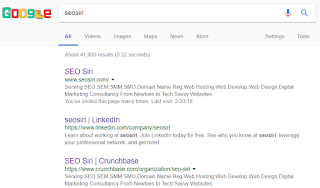 seosiri's search engine result
