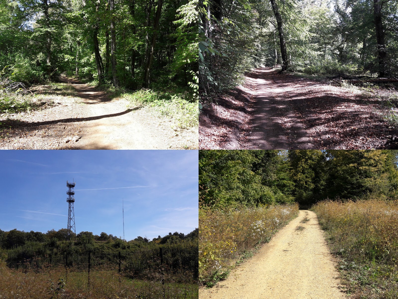 A LA DECOUVERTE DE LA RANDO Marche Malancourt la Montagne