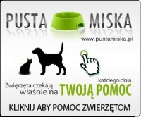 Pusta Miska